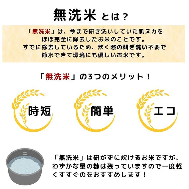 【令和5年産】栽培期間中農薬・化学肥料不使用【無洗米】特別栽培米サキホコレ5kg×1