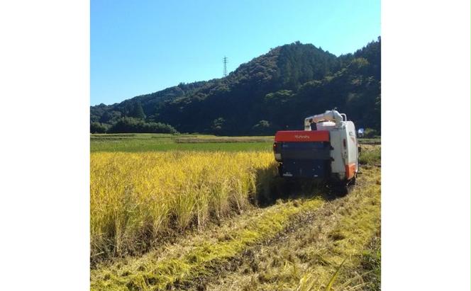 【特別栽培米】立神米はいごころ（玄米）定期便 2kg 3回お届け　茨城県 大子町 米