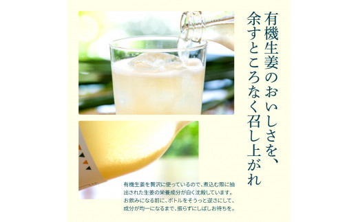 【CF-R5tka】　土佐山ジンジャーエール飲み比べ12本セット