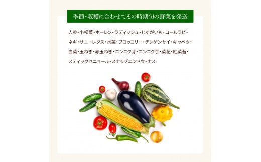 【CF-R5tka】　《3カ月定期便》栽培期間中農薬不使用！ 野菜セット（11‐13種類）