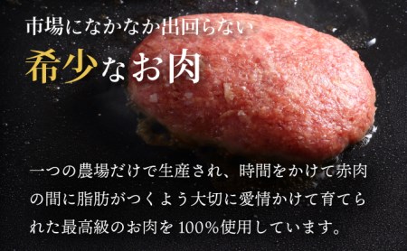 登別牛100％使用ハンバーグ 120g×5個