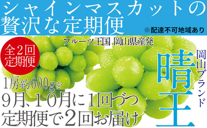 ぶどう 2025年 先行予約 9月・10月発送 シャイン マスカット 晴王 1房 約600g ブドウ 葡萄  岡山県産 国産 フルーツ 果物 ギフト