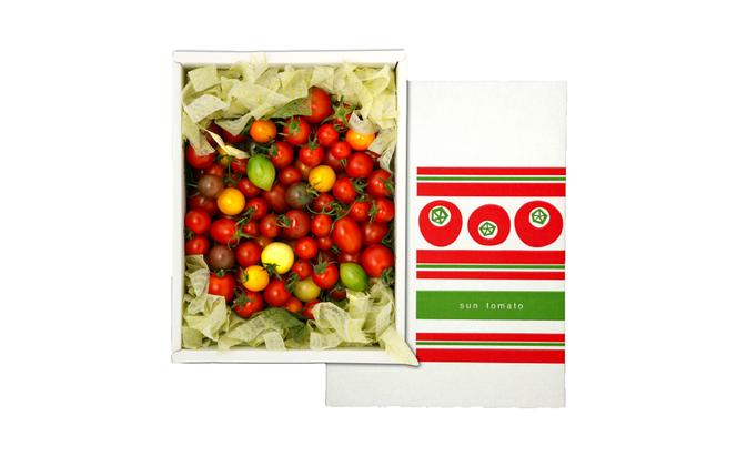 カラフルミニトマトの宝石箱　（約1kg） トマト ミニトマト とまと カラフルミニトマト 詰め合わせ カラフル トマト とまと 美味しい 野菜 高知県産
