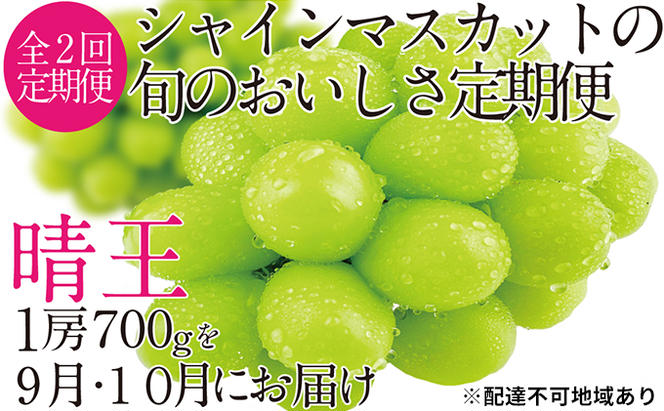 ぶどう 2025年 先行予約 9月・10月発送 シャイン マスカット 晴王 1房 約700g ブドウ 葡萄  岡山県産 国産 フルーツ 果物 ギフト