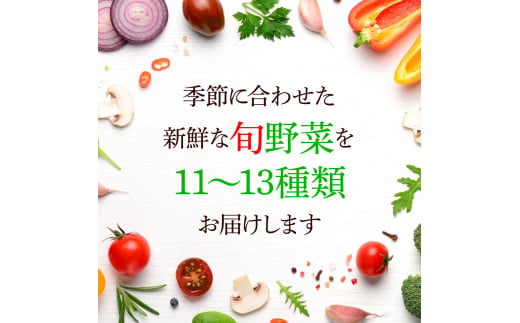 【CF-R5cbs】 栽培期間中農薬不使用！ 野菜セット（11‐13種類）