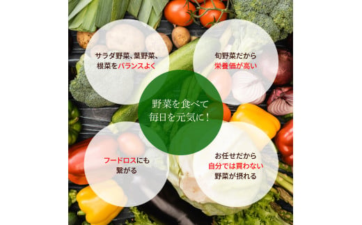 【CF-R5cbs】 《3カ月定期便》栽培期間中農薬不使用！ 野菜セット（7‐9種類）