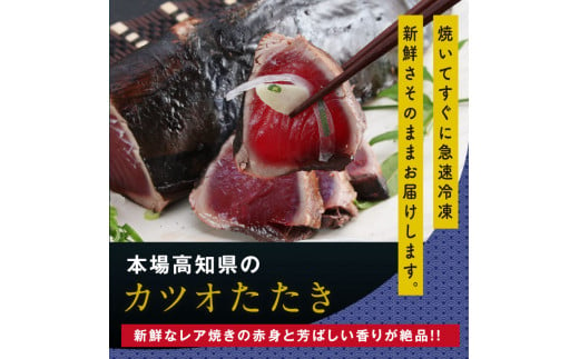 KYF104　【CF-R5frp】 「訳ありカツオのたたき」1節＋「真鯛の漬け丼の素」1食80g×1P＜高知市共通返礼品＞