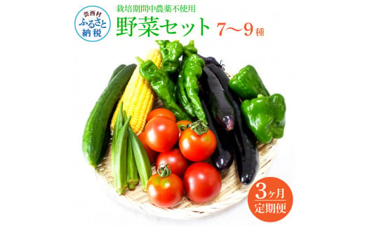 t139slv　【CF-R5frp】 《3カ月定期便》栽培期間中農薬不使用！ 野菜セット（7‐9種類）