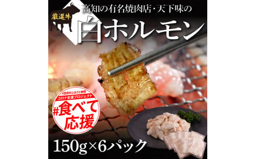 TKA005　【CF-R5frp】 白ホルモン 天下味オリジナル本格塩ダレ漬け（150ｇ×6パック） ＃食べて応援