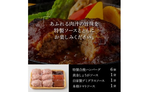 【CF-R5oka】 食べ比べ！老舗レストランの国産牛・美鮮豚ハンバーグ130g×6ケ＋ソース3種各1袋