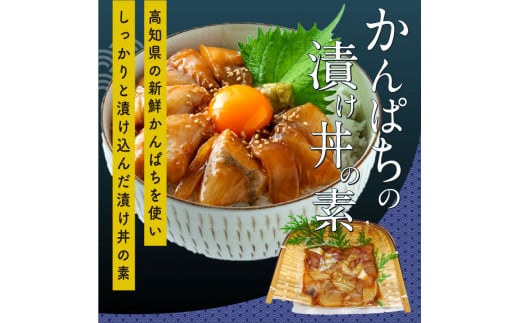 【CF-R5oka】 海鮮漬け丼の素3種食べ比べセット＜高知市共通返礼品＞