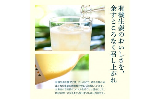 【CF-R5oka】 土佐山ジンジャーエール飲み比べ12本セット