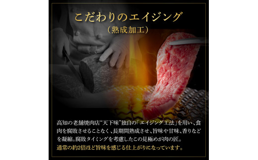 【CF-R5tka】　エイジング工法熟成肉土佐和牛特選赤身サイコロステーキ500g（冷凍）
