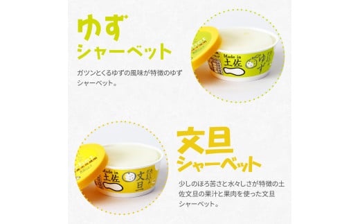 【CF-R5oka】 Made in 土佐のアイスクリンと柑橘シャーベットセット