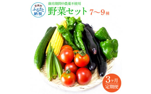 【CF-R5oni】 《3カ月定期便》栽培期間中農薬不使用！ 野菜セット（7‐9種類）