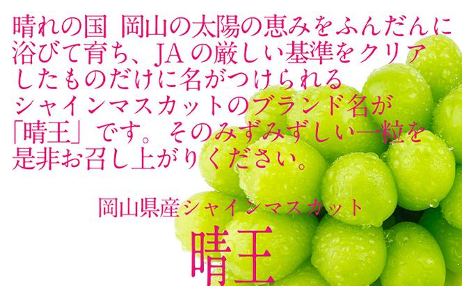 ぶどう 2025年 先行予約 シャイン マスカット 晴王 2房（合計約1.1kg） ブドウ 葡萄  岡山県産 国産 フルーツ 果物 ギフト