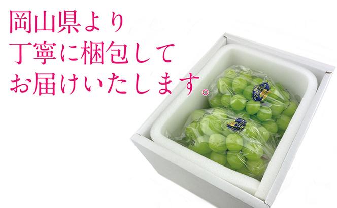 ぶどう 2025年 先行予約 シャイン マスカット 晴王 2房（合計約1.1kg） ブドウ 葡萄  岡山県産 国産 フルーツ 果物 ギフト