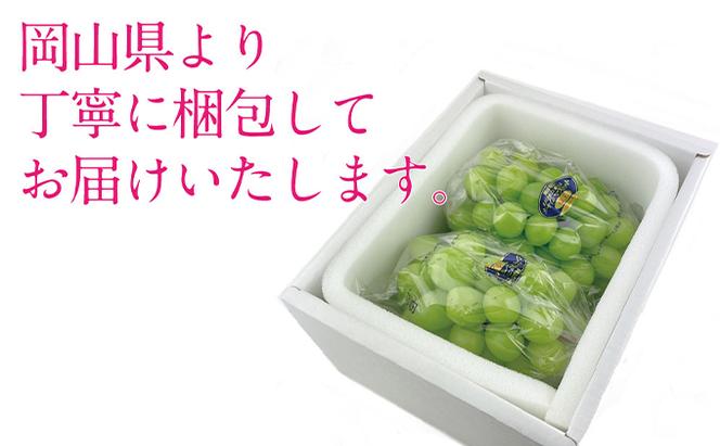 ぶどう 2025年 先行予約 9月・10月発送 シャイン マスカット 晴王 2房（合計約1.1kg） ブドウ 葡萄  岡山県産 国産 フルーツ 果物 ギフト