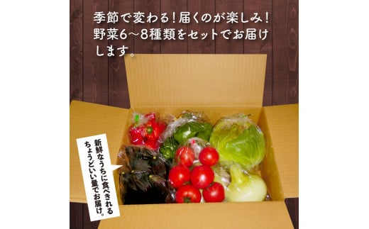 【CF-R5cdm】 朝どれ！野菜の詰合せ／芸西村で採れた新鮮な野菜6～8種類をお届けします。