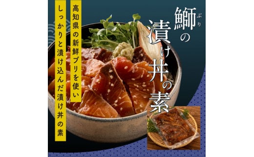 【CF-R5cdm】 海鮮漬け丼の素3種食べ比べセット＜高知市共通返礼品＞