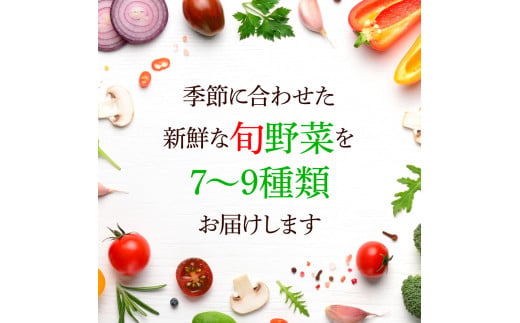 【CF-R5cdm】 《3カ月定期便》栽培期間中農薬不使用！ 野菜セット（7‐9種類）