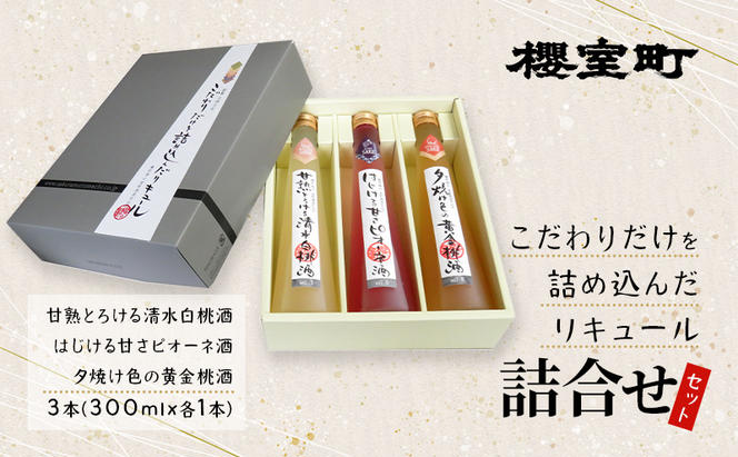 櫻室町 こだわりだけを詰め込んだ リキュール 詰合せ 300mlx3本セット（L3-C） お酒 アルコール 酒