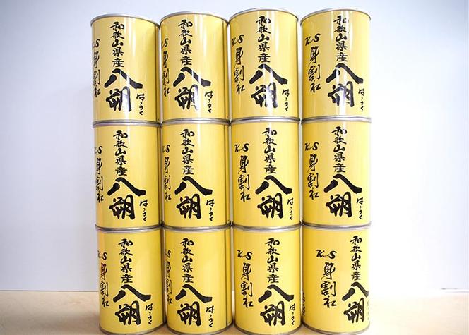 和歌山県産八朔缶詰（身割れ）425g×12缶セット
※着日指定不可