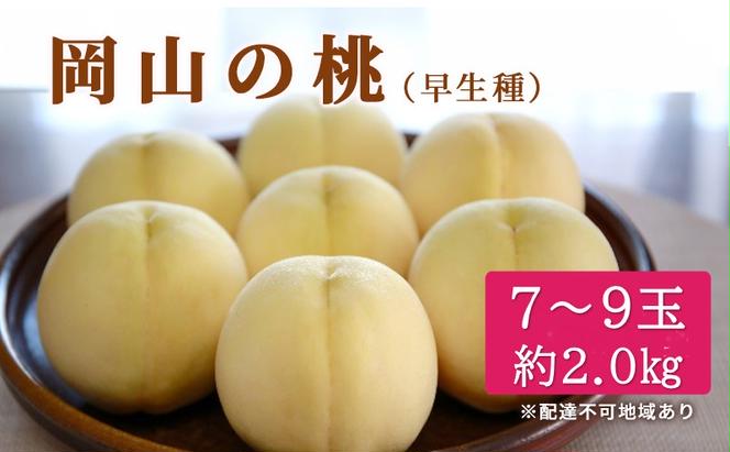 桃 2024年 先行予約 特選 岡山の桃 8玉 約2kg 早生種 もも モモ 岡山県産 国産 フルーツ 果物 ギフト いろは堂