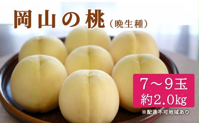 桃 2024年 先行予約 特選 岡山の桃 8玉 約2kg 晩生種 もも モモ 岡山県産 国産 フルーツ 果物 ギフト いろは堂