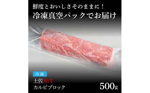 【CF-R5tka】　エイジング工法熟成肉土佐和牛特選カルビブロック500g（冷凍）