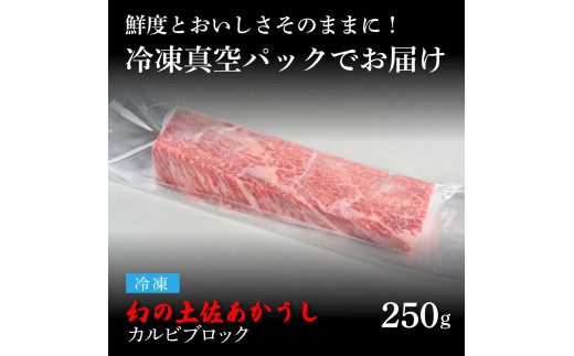 TKA225　【CF-R5oni】 天下味 エイジング工法 熟成肉 土佐あかうし 特選カルビブロック 250g エイジングビーフ 国産 あか牛 赤牛 牛肉 和牛 冷凍配送 真空パック お祝い 高知 芸西村 贈り物 贈答 ギフト