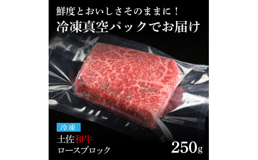 TKA230　【CF-R5oni】 天下味 エイジング工法 熟成肉 土佐和牛 特選 ロースブロック 250g エイジングビーフ 国産 牛肉 土佐 和牛 冷凍配送 真空パック お祝い 高知 芸西村 贈り物 贈答 ギフト