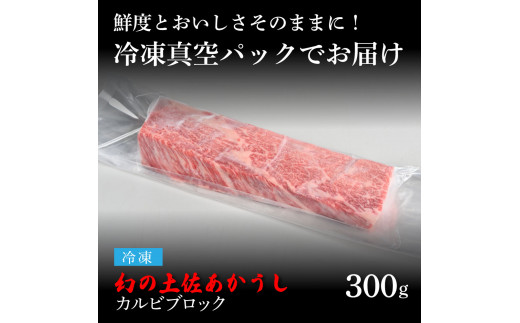 【CF-R5cdm】 エイジング工法熟成肉土佐あかうし特選カルビブロック300g（冷凍）