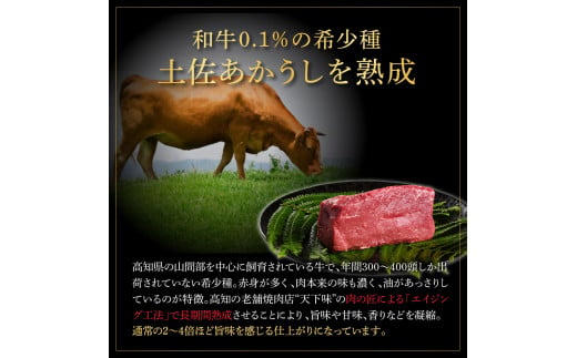 【CF-R5cbs】 エイジング工法熟成肉土佐あかうし特選赤身サイコロステーキ500g（冷凍）