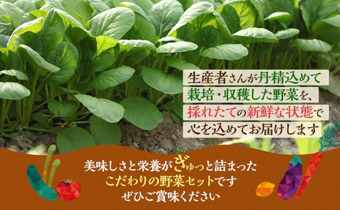 とれたて 野菜 パック 定期便 3回 季節の野菜 セット 詰め合わせ 10品前後 野菜セット 野菜詰め合わせ 3ヶ月 ジャガイモ 人参 大根 小松菜 白ネギ グリ−ンリ−フ チンゲン菜 椎茸 トマト 水菜 葉ネギ 人気 厳選 静岡県