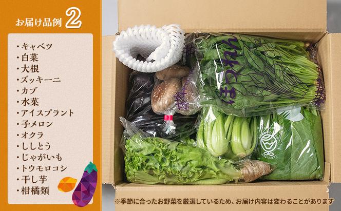 とれたて 野菜 パック 定期便 3回 季節の野菜 セット 詰め合わせ 10品前後 野菜セット 野菜詰め合わせ 3ヶ月 ジャガイモ 人参 大根 小松菜 白ネギ グリ−ンリ−フ チンゲン菜 椎茸 トマト 水菜 葉ネギ 人気 厳選 静岡県