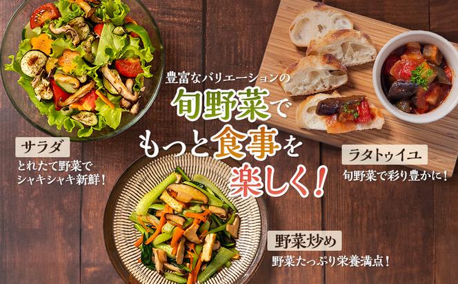 とれたて 野菜 パック 定期便 4回 2ヶ月おき 季節の野菜 セット 詰め合わせ 10品前後 野菜セット 野菜詰め合わせ ジャガイモ 人参 大根 小松菜 白ネギ グリ−ンリ−フ チンゲン菜 椎茸 トマト 水菜 葉ネギ 人気 厳選 静岡県