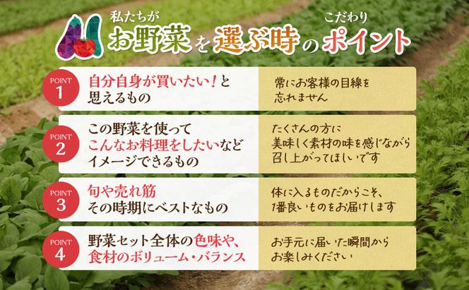 とれたて 野菜 パック 定期便 4回 2ヶ月おき 季節の野菜 セット 詰め合わせ 10品前後 野菜セット 野菜詰め合わせ ジャガイモ 人参 大根 小松菜 白ネギ グリ−ンリ−フ チンゲン菜 椎茸 トマト 水菜 葉ネギ 人気 厳選 静岡県