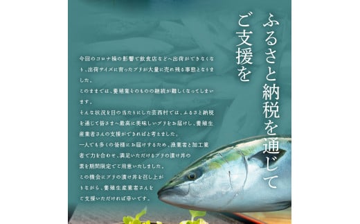 KYF032　【CF-R5oni】 「ブリの漬け丼の素」1食80g×5P《迷子のブリを食べて応援 養殖生産業者応援プロジェクト》