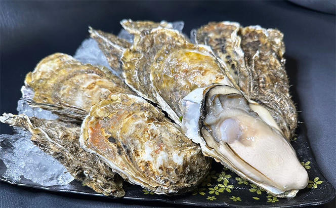 北海道 厚岸産 殻付き 牡蠣 Lサイズ 14個