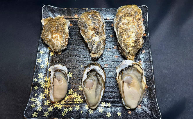 北海道 厚岸産 殻付き 牡蠣 3Lサイズ 14個