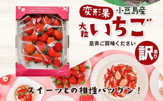 【配送エリア限定商品】＜訳あり・大粒＞小豆島産　変形果いちご　1.4kg