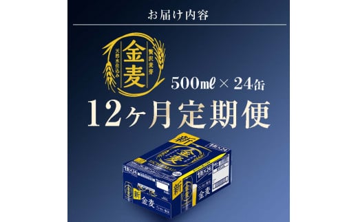 FKK19-790_【12ヶ月連続】サントリー金麦500ml×1ケース(24本） 熊本県 嘉島町 ビール