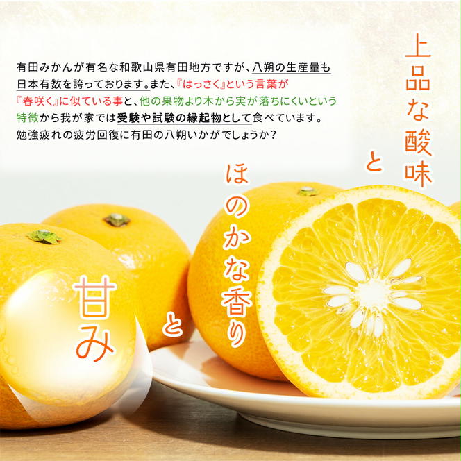 DI6050_秀品 和歌山県有田産 八朔 3kg×3箱 計9kg