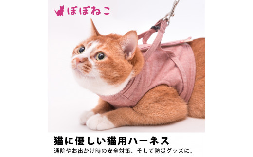 ぽぽねこ ギフト券 3,000円分 （Eメールタイプ）デジタル商品券 オンラインショップ 電子マネー 猫 ネコ