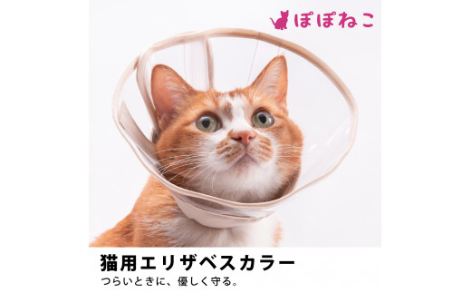 ぽぽねこ ギフト券 9,000円分 （Eメールタイプ）デジタル商品券 オンラインショップ 電子マネー 猫 ネコ