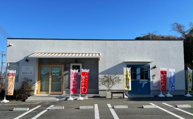 ジェラート 6個 6種 詰め合わせ アイス アイスクリーム スイーツ お菓子 菓子 おやつ 兵庫県 加西市 