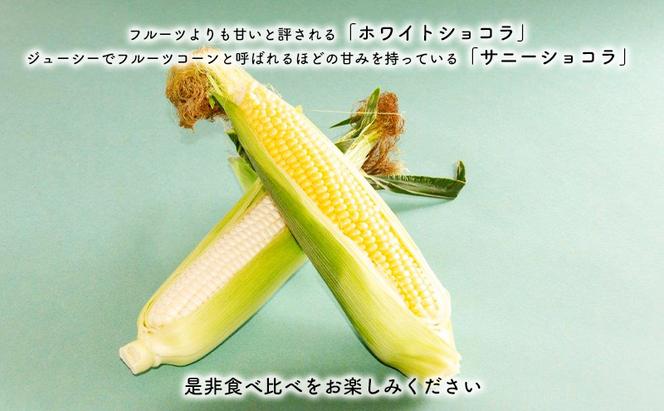 【2024年8月～発送】北海道 富良野市 とうもろこし 食べ比べ サニーショコラ 黄色 ＆ ホワイトショコラ 白色 L～2L サイズ 計5kg ふらの 野菜 トウモロコシ とうきび 数量限定 (フラノプレゼンツ)