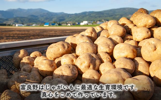 【2024年9月～発送】北海道 富良野市 じゃがいも メークイン 10kg ふらの 野菜 いも 数量限定 (フラノプレゼンツ)