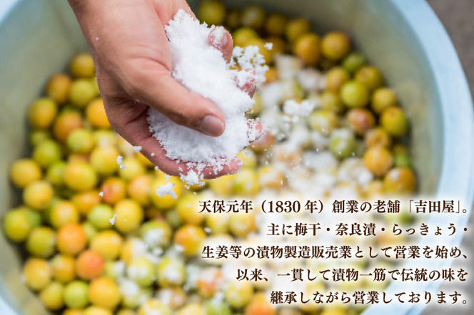 吉田屋こだわり梅干お試しセット 昔ながら 老舗 伝統 国産 大洗 大洗町 梅干し 梅干 梅 うめぼし うめ